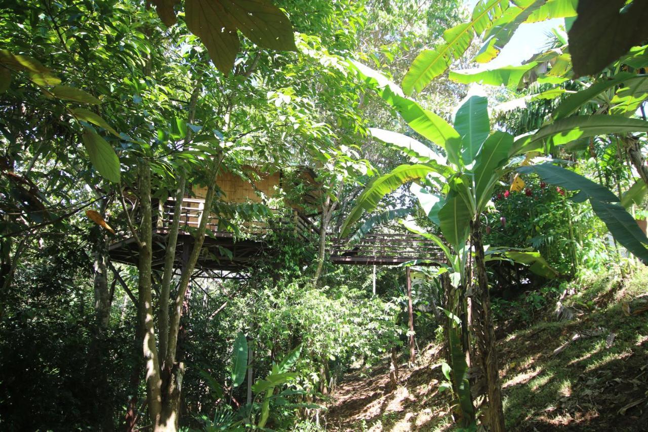 Treehouse Pilon Pavones Villa Павонес Екстериор снимка