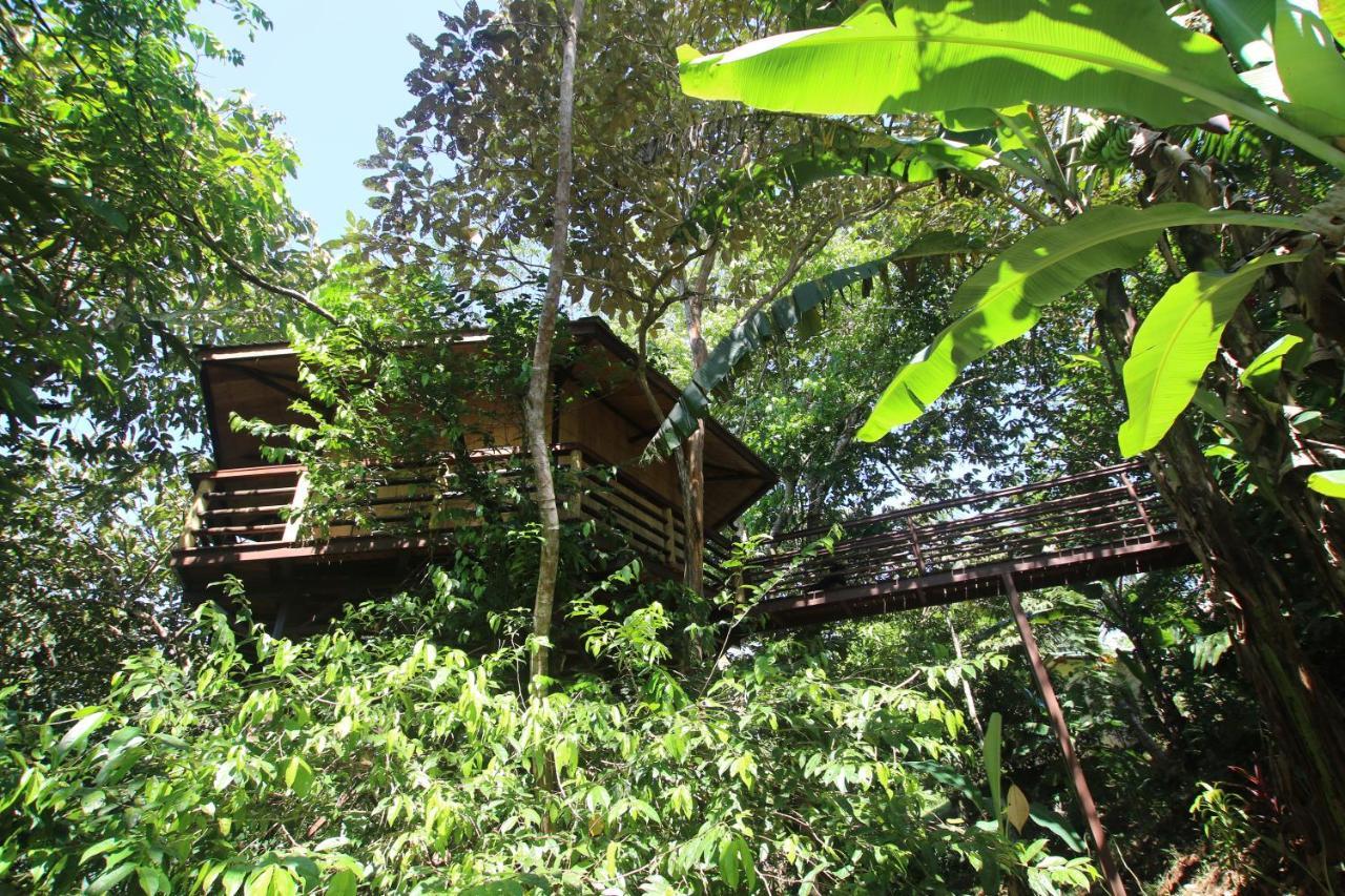 Treehouse Pilon Pavones Villa Павонес Екстериор снимка