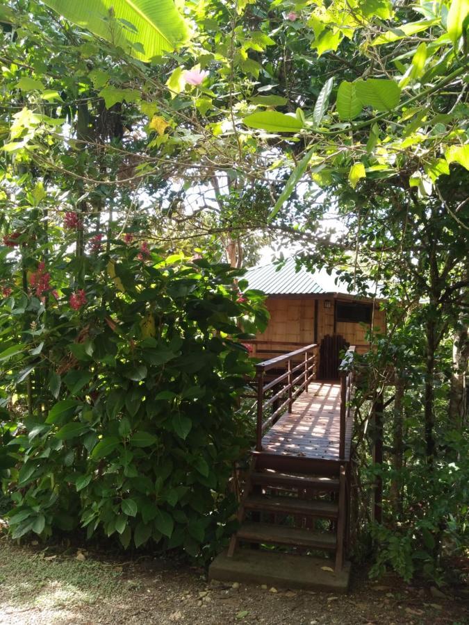 Treehouse Pilon Pavones Villa Павонес Екстериор снимка