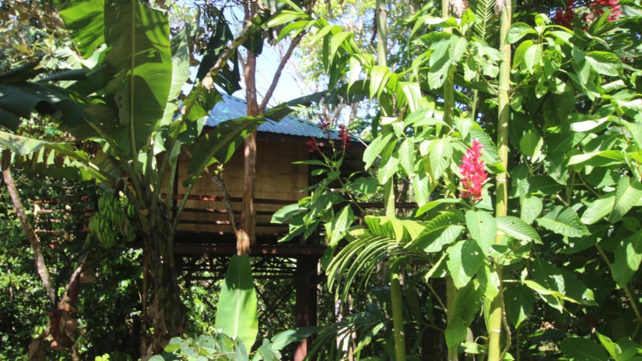 Treehouse Pilon Pavones Villa Павонес Екстериор снимка